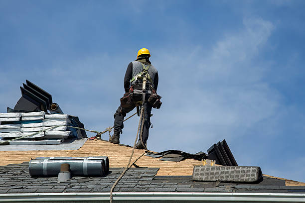 Professional Roof Replacement technician working in Clements, MD